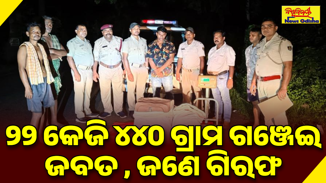୨୨ କେଜି ୪୪୦ ଗ୍ରାମ ଗଞ୍ଜେଇ ଜବତ , ଜଣେ ଗିରଫ